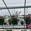 View Current Crop Photo