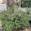 View Current Crop Photo